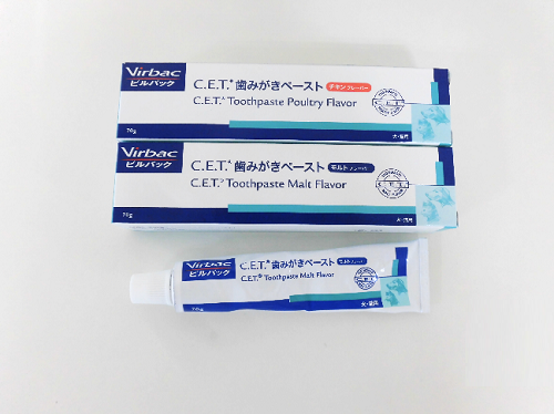 歯磨きペースト