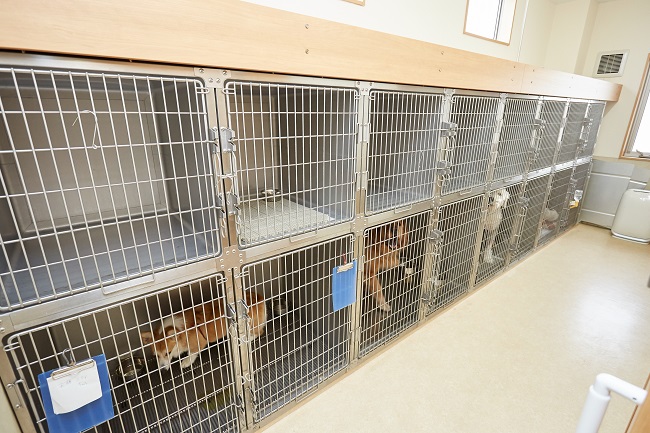 ホテル犬舎