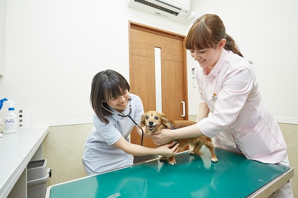 求人