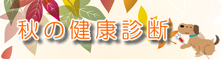 秋の健康診断