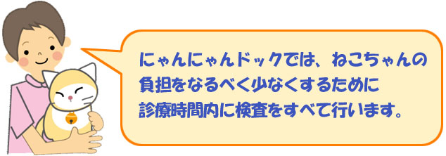 にゃんにゃん