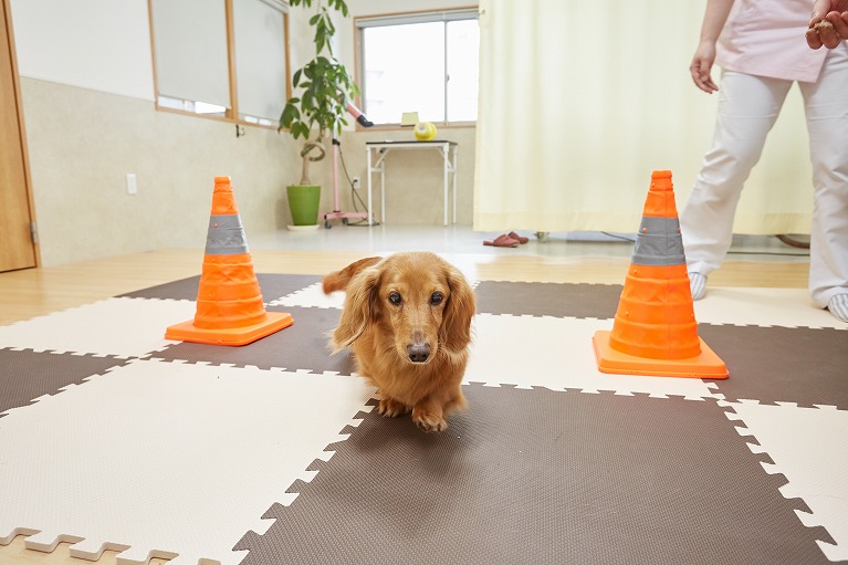 できるだけ早く・できるだけ本来の生活を取り戻す