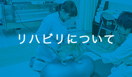 リハビリについて